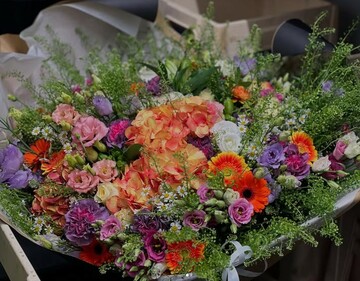 Naissance & Anniversaire