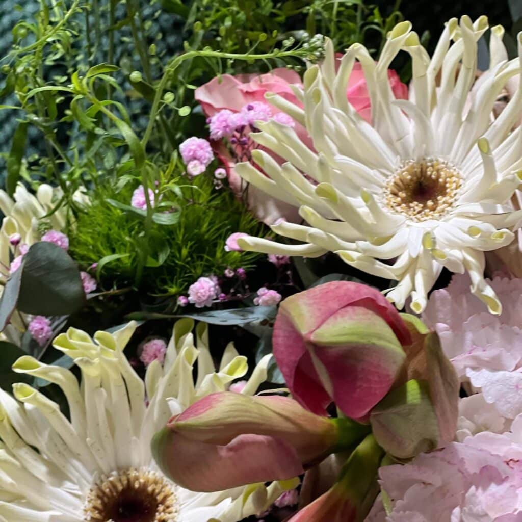 Bouquet de fleurs élégant: Gerbera blanche et bourgeons roses Bouquet élégant: Gerbera blanche aux pétales pointus, bourgeons roses/verts, petites fleurs roses, verdure luxuriante. Gros plan floral.