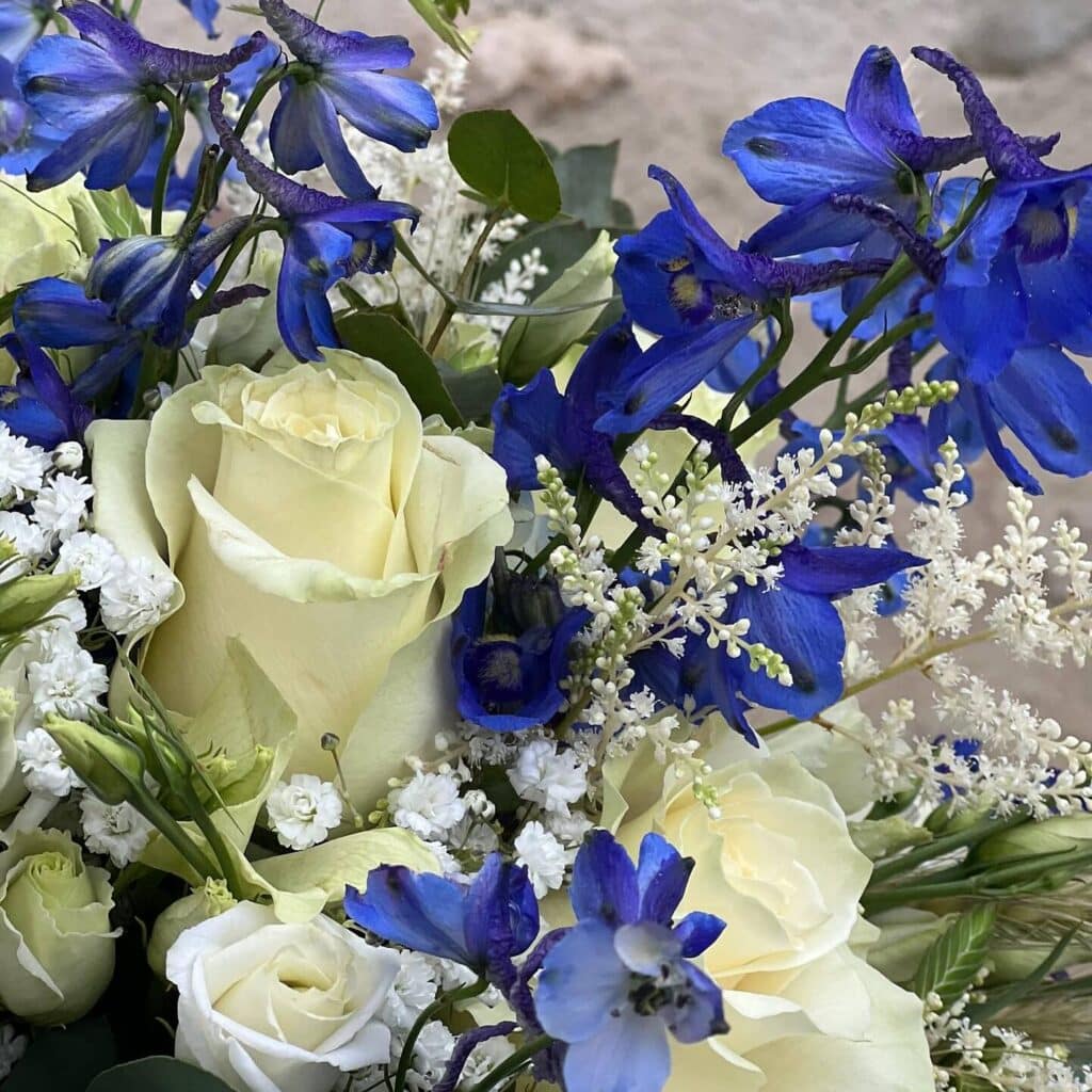 Roses blanches et Delphinium bleu : l'élégance du bouquet. Gros plan d'un bouquet élégant de roses blanches crémeuses et de fleurs bleues Delphinium intenses, avec petites fleurs blanches.